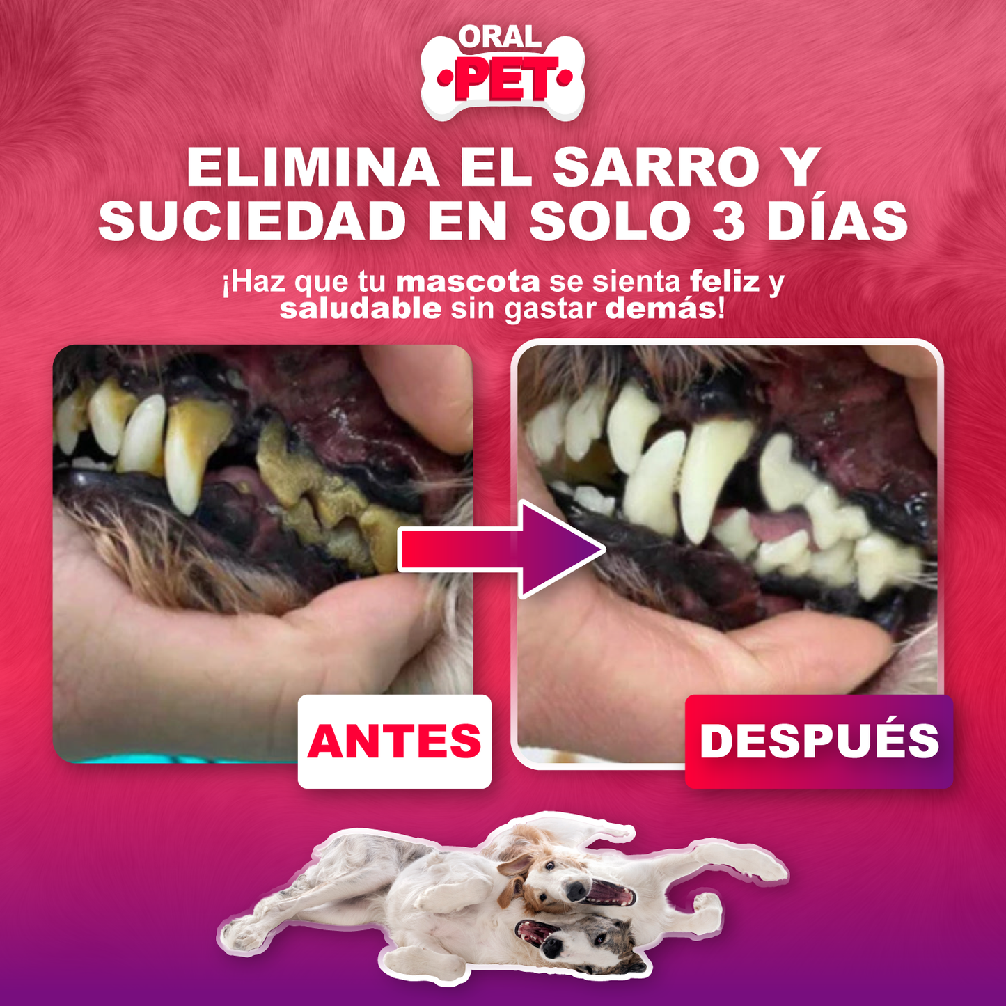 Oral Pet™ Spray Bucal Limpiador Mascotas